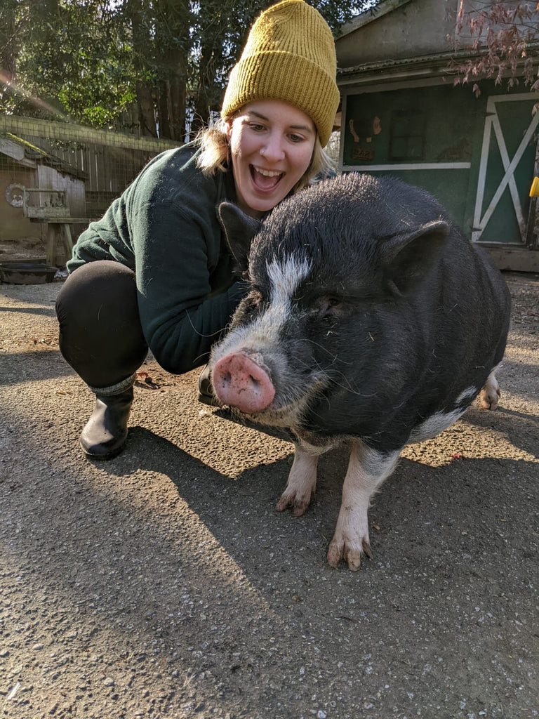 Smiling person in a yellow beanie crouching next to a black and white pig on a sunny day at a farm.